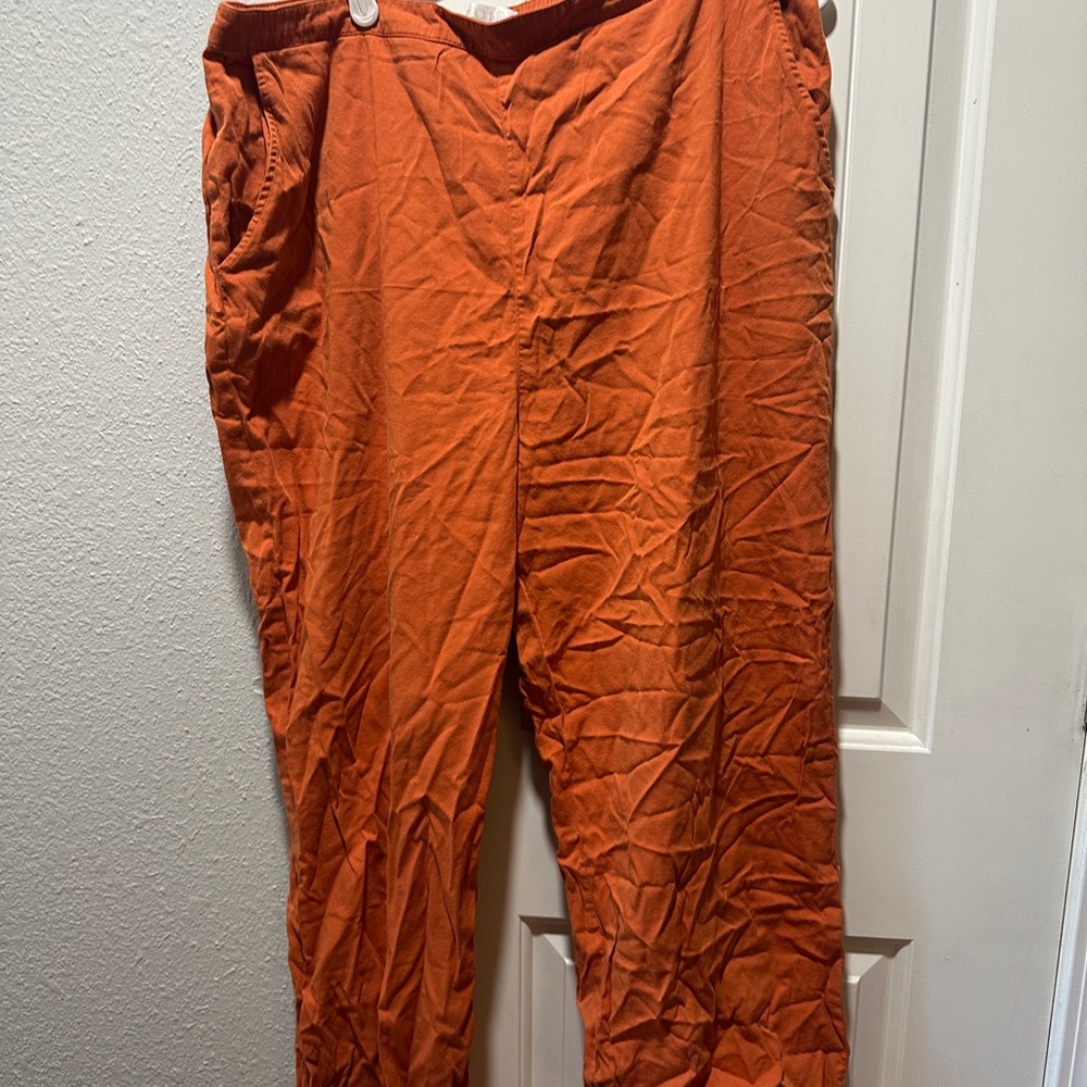 Abound Vibrant Orange Pants